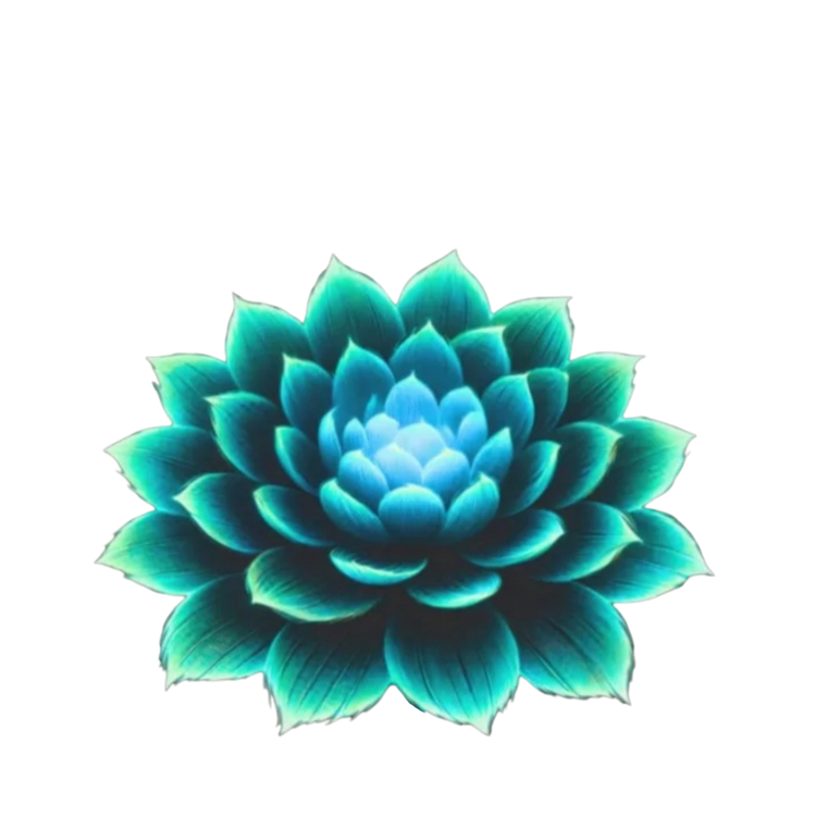 Lotus Collection